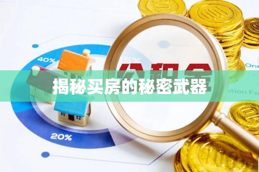 新庄揭秘买房的秘密武器
