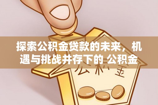 新庄探索公积金贷款的未来，机遇与挑战并存下的 公积金贷款风险防控