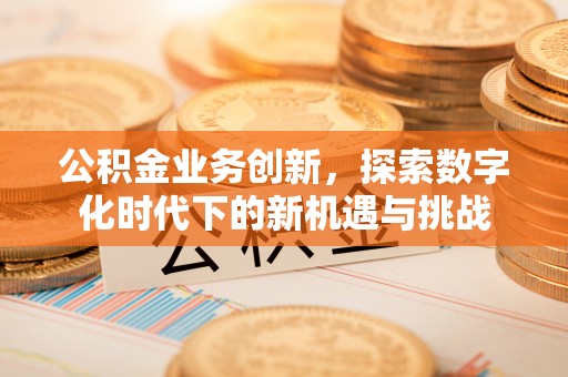 新庄公积金业务创新，探索数字化时代下的新机遇与挑战