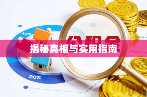 新庄揭秘真相与实用指南