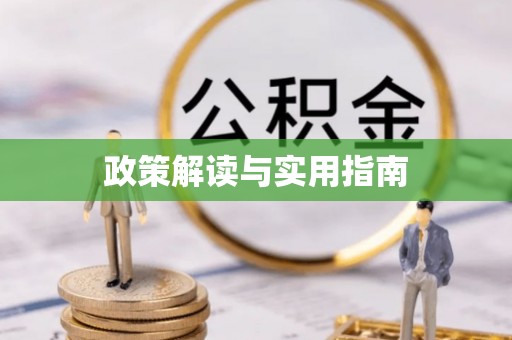 新庄政策解读与实用指南