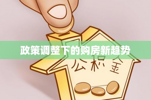 新庄政策调整下的购房新趋势