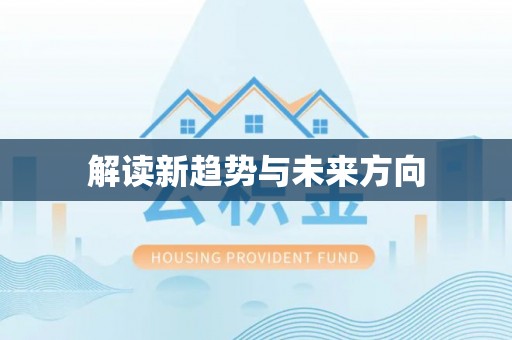 新庄解读新趋势与未来方向