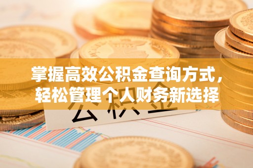 新庄掌握高效公积金查询方式，轻松管理个人财务新选择