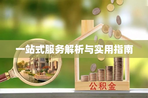新庄一站式服务解析与实用指南